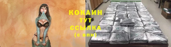 бошки Балахна