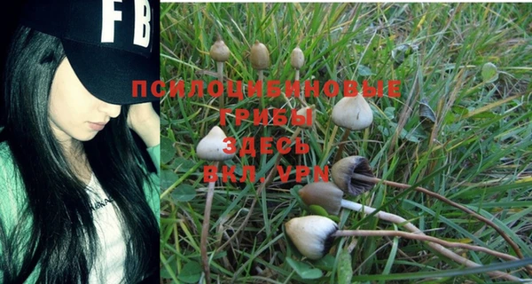 хмурый Балабаново