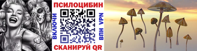 Галлюциногенные грибы мухоморы  Болотное 